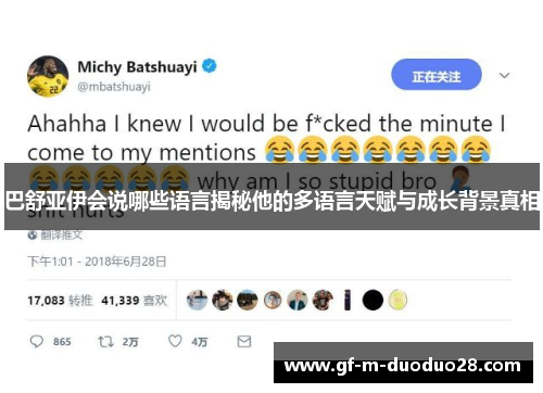巴舒亚伊会说哪些语言揭秘他的多语言天赋与成长背景真相