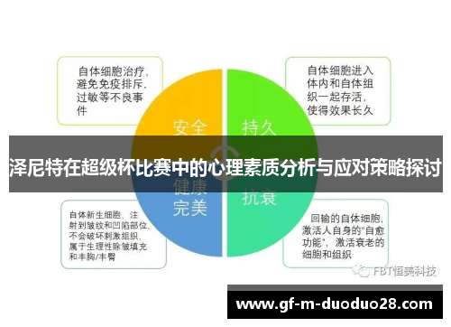 泽尼特在超级杯比赛中的心理素质分析与应对策略探讨 泽尼特在超级杯比赛中的心理素质分析与应对策略探讨