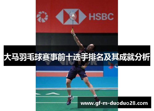 大马羽毛球赛事前十选手排名及其成就分析