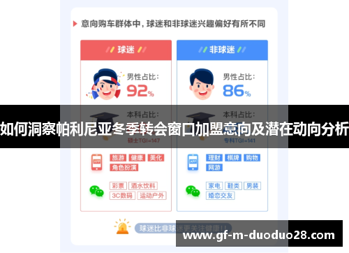 如何洞察帕利尼亚冬季转会窗口加盟意向及潜在动向分析