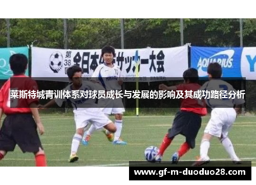 莱斯特城青训体系对球员成长与发展的影响及其成功路径分析