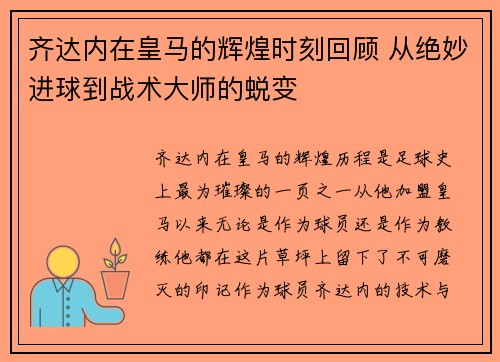 齐达内在皇马的辉煌时刻回顾 从绝妙进球到战术大师的蜕变