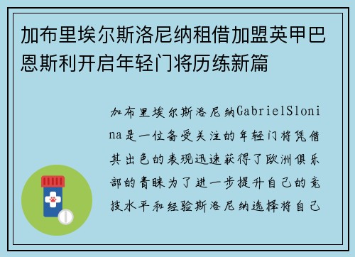 加布里埃尔斯洛尼纳租借加盟英甲巴恩斯利开启年轻门将历练新篇